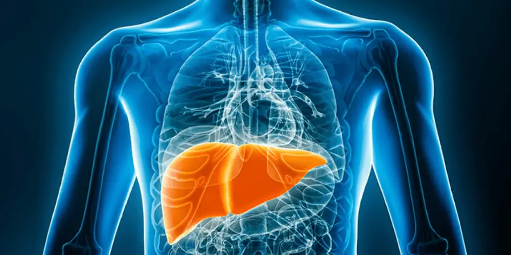 Best Gastro Liver Doctor in Korba
