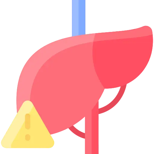 liver